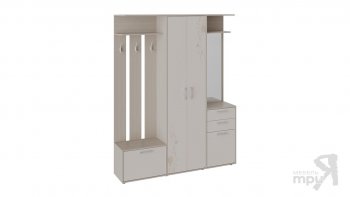 Набор мебели для прихожей «Витра» Тип 2(трия) в Ленске - mebel154.com
