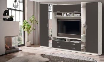 ШМЦ Вена  91.01 с зеркалом в Ленске - mebel154.com