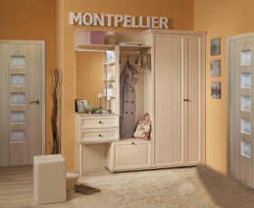Шкаф для обуви 1 Montpellier в Ленске - mebel154.com