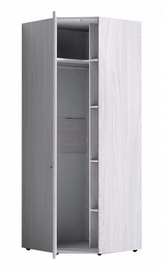 Шкаф для одежды угловой 56-2 Paola в Ленске - mebel154.com